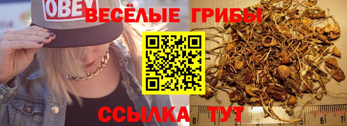 Елец  Галлюциногенные грибы ЛСД  Галлюциногенные грибы прущие грибы  Вход с VPN 