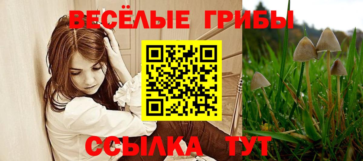 Галлюциногенные грибы ЛСД Елец